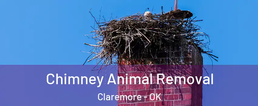  Chimney Animal Removal Claremore - OK