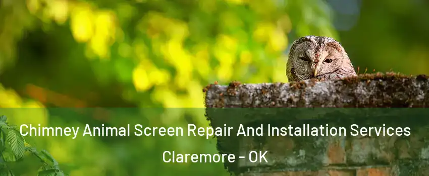 Chimney Animal Screen Repair And Installation Services Claremore - OK