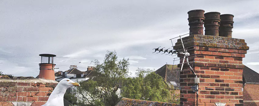 Chimney Cleaning And Restoration in Claremore, Oklahoma